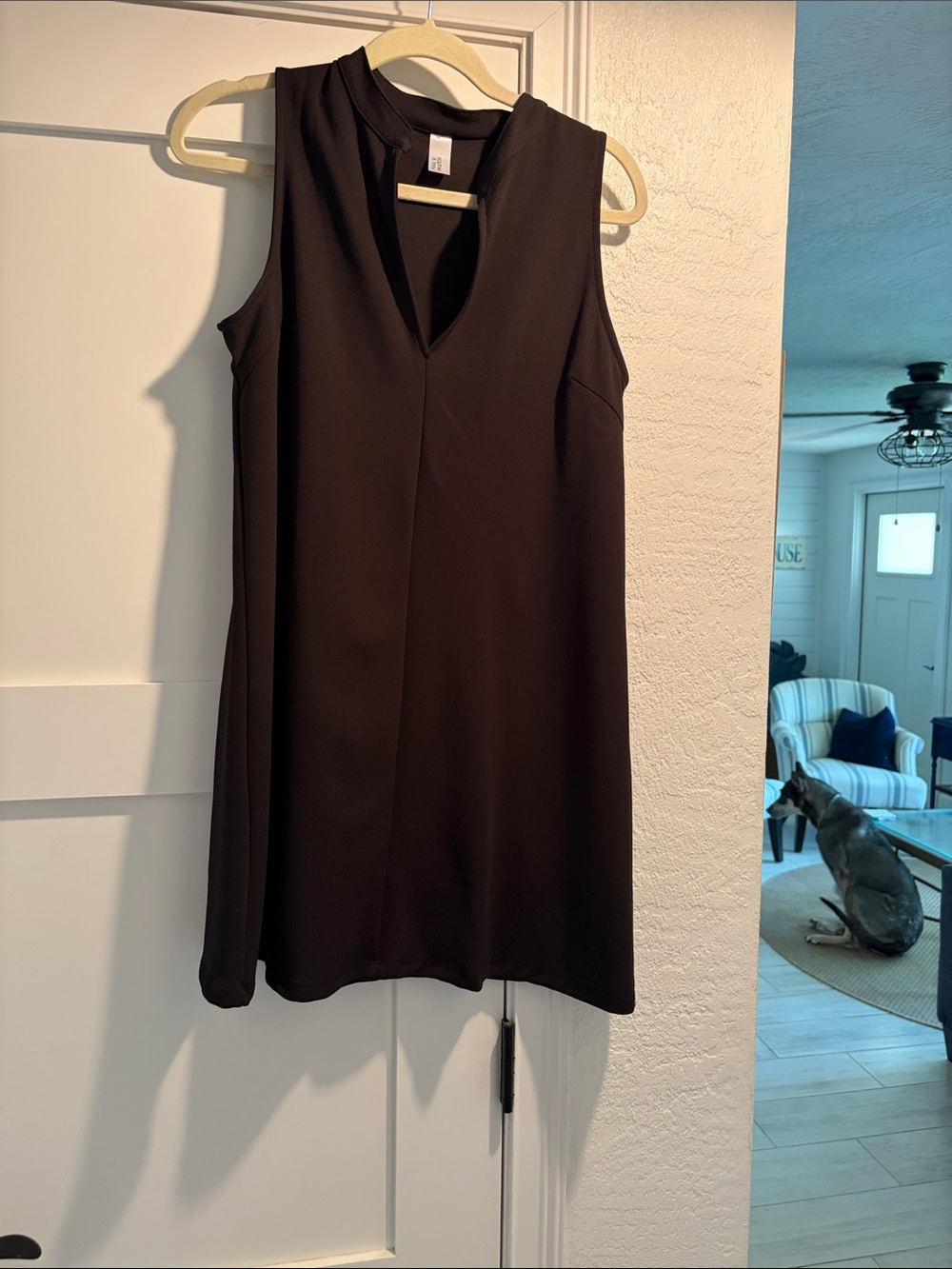 Sleeveless Black V-Neck Shift Dress